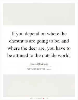 If you depend on where the chestnuts are going to be, and where the deer are, you have to be attuned to the outside world Picture Quote #1