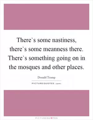 There`s some nastiness, there`s some meanness there. There`s something going on in the mosques and other places Picture Quote #1