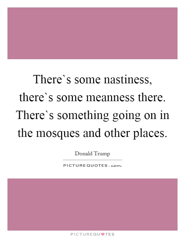 There`s some nastiness, there`s some meanness there. There`s something going on in the mosques and other places. Picture Quote #1