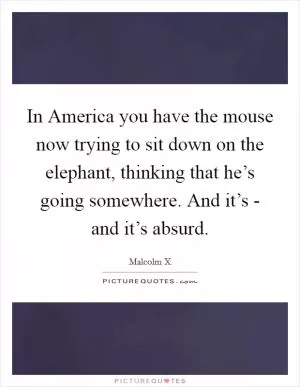 In America you have the mouse now trying to sit down on the elephant, thinking that he’s going somewhere. And it’s - and it’s absurd Picture Quote #1