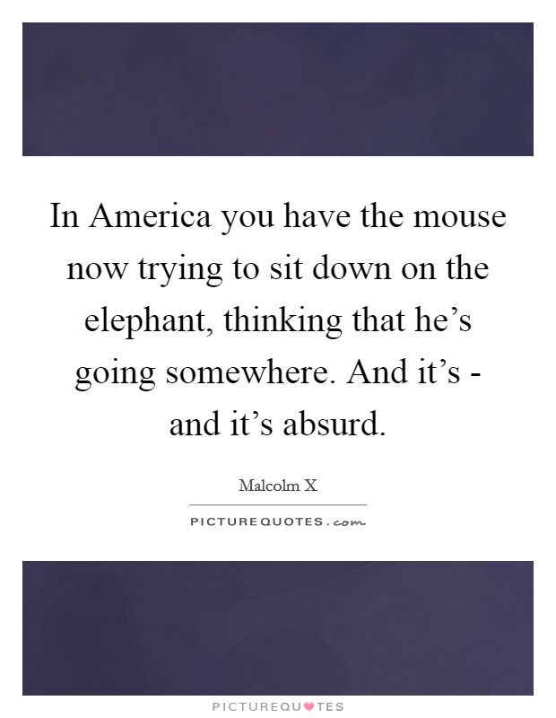In America you have the mouse now trying to sit down on the elephant, thinking that he's going somewhere. And it's - and it's absurd. Picture Quote #1