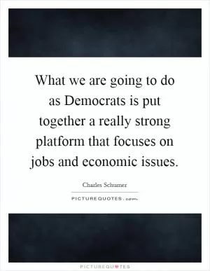 What we are going to do as Democrats is put together a really strong platform that focuses on jobs and economic issues Picture Quote #1