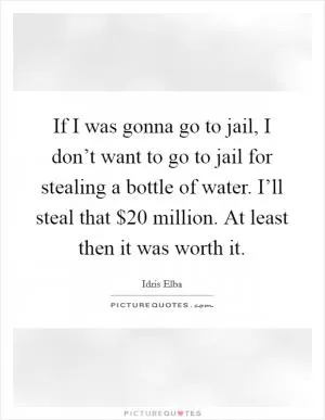 If I was gonna go to jail, I don’t want to go to jail for stealing a bottle of water. I’ll steal that $20 million. At least then it was worth it Picture Quote #1