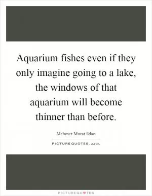 Aquarium fishes even if they only imagine going to a lake, the windows of that aquarium will become thinner than before Picture Quote #1