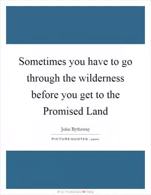 Sometimes you have to go through the wilderness before you get to the Promised Land Picture Quote #1