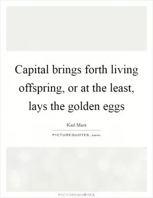 Capital brings forth living offspring, or at the least, lays the golden eggs Picture Quote #1