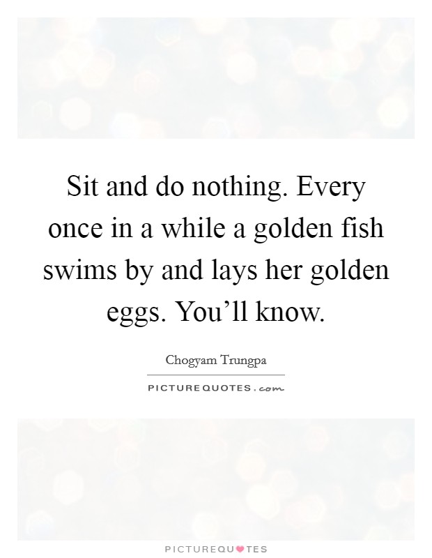 Sit and do nothing. Every once in a while a golden fish swims by and lays her golden eggs. You'll know. Picture Quote #1