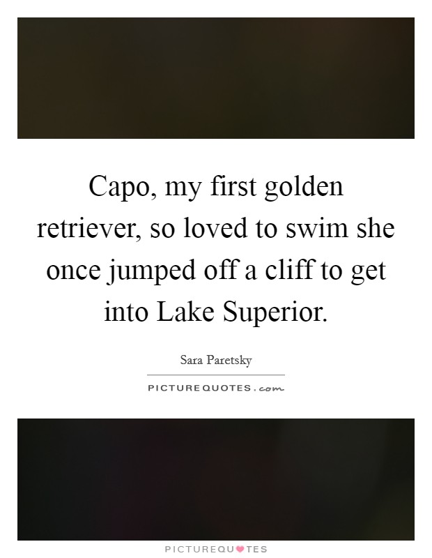 Capo, my first golden retriever, so loved to swim she once jumped off a cliff to get into Lake Superior. Picture Quote #1
