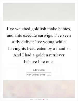 I’ve watched goldfish make babies, and ants execute earwigs. I’ve seen a fly deliver live young while having its head eaten by a mantis. And I had a golden retriever behave like one Picture Quote #1