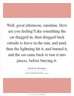 Well, good afternoon, sunshine. How are you feeling?Like something the cat dragged in, then dragged back outside to leave in the rain, and mud, then the lightning hit it, and burned it, and the cat came back to tear it into pieces, before burying it Picture Quote #1