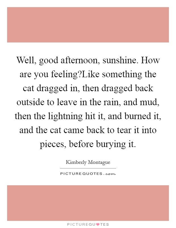 Well, good afternoon, sunshine. How are you feeling?Like something the cat dragged in, then dragged back outside to leave in the rain, and mud, then the lightning hit it, and burned it, and the cat came back to tear it into pieces, before burying it. Picture Quote #1