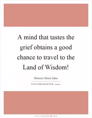 A mind that tastes the grief obtains a good chance to travel to the Land of Wisdom! Picture Quote #1
