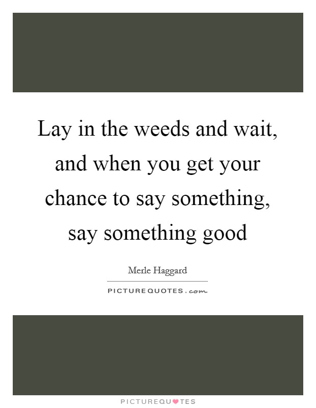 Lay in the weeds and wait, and when you get your chance to say something, say something good Picture Quote #1