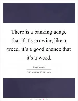 There is a banking adage that if it’s growing like a weed, it’s a good chance that it’s a weed Picture Quote #1