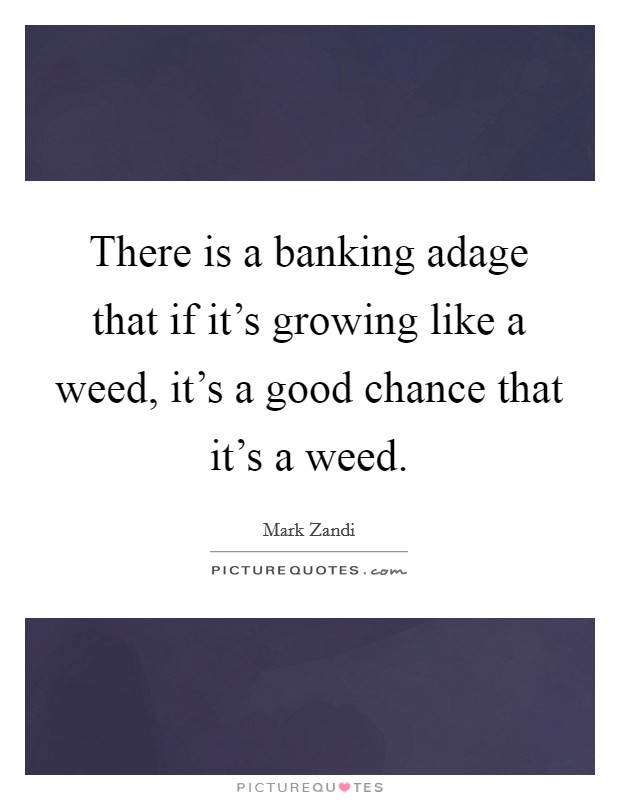 There is a banking adage that if it's growing like a weed, it's a good chance that it's a weed. Picture Quote #1