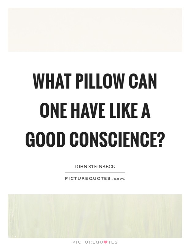 What pillow can one have like a good conscience? Picture Quote #1