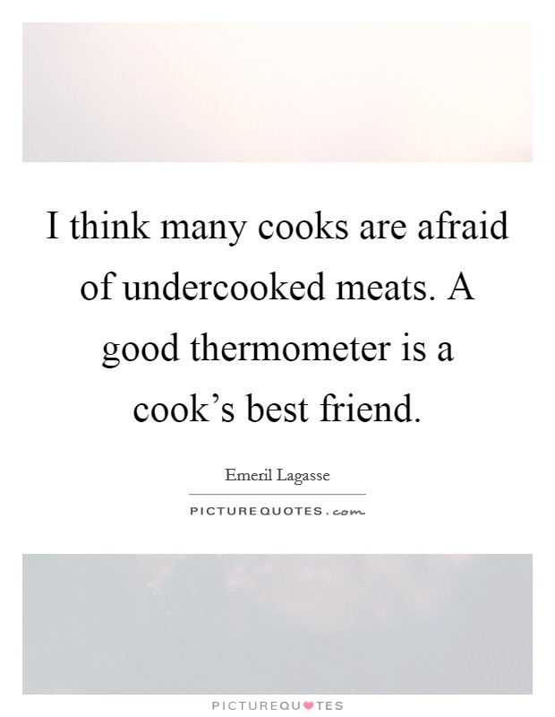 I think many cooks are afraid of undercooked meats. A good thermometer is a cook's best friend. Picture Quote #1