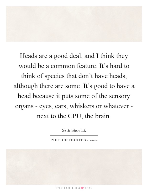 Heads are a good deal, and I think they would be a common feature. It's hard to think of species that don't have heads, although there are some. It's good to have a head because it puts some of the sensory organs - eyes, ears, whiskers or whatever - next to the CPU, the brain. Picture Quote #1