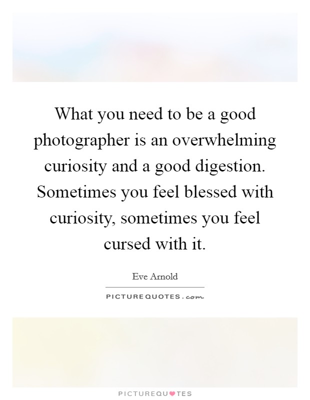 What you need to be a good photographer is an overwhelming curiosity and a good digestion. Sometimes you feel blessed with curiosity, sometimes you feel cursed with it. Picture Quote #1