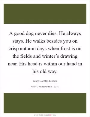 A good dog never dies. He always stays. He walks besides you on crisp autumn days when frost is on the fields and winter’s drawing near. His head is within our hand in his old way Picture Quote #1