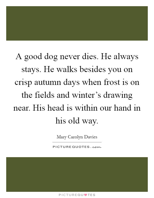 A good dog never dies. He always stays. He walks besides you on crisp autumn days when frost is on the fields and winter's drawing near. His head is within our hand in his old way. Picture Quote #1