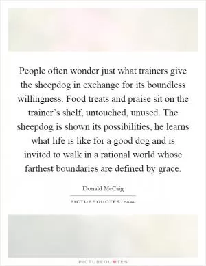 People often wonder just what trainers give the sheepdog in exchange for its boundless willingness. Food treats and praise sit on the trainer’s shelf, untouched, unused. The sheepdog is shown its possibilities, he learns what life is like for a good dog and is invited to walk in a rational world whose farthest boundaries are defined by grace Picture Quote #1