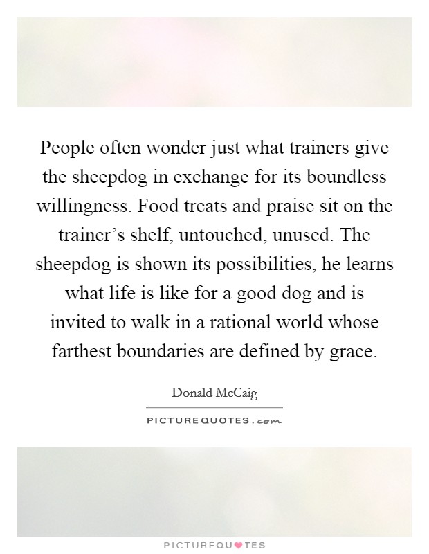 People often wonder just what trainers give the sheepdog in exchange for its boundless willingness. Food treats and praise sit on the trainer's shelf, untouched, unused. The sheepdog is shown its possibilities, he learns what life is like for a good dog and is invited to walk in a rational world whose farthest boundaries are defined by grace. Picture Quote #1