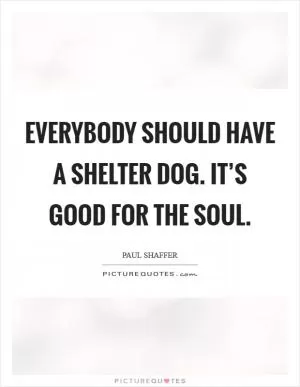 Everybody should have a shelter dog. It’s good for the soul Picture Quote #1