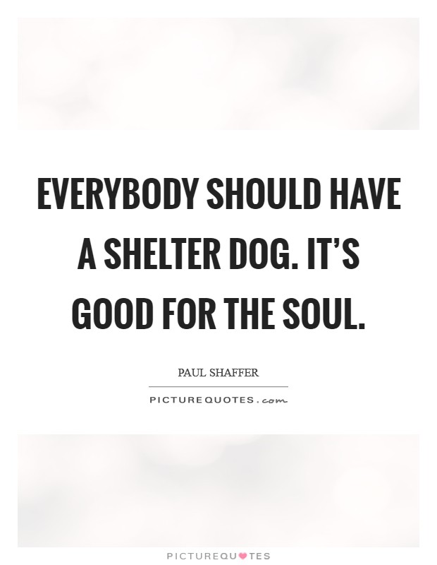 Everybody should have a shelter dog. It's good for the soul. Picture Quote #1