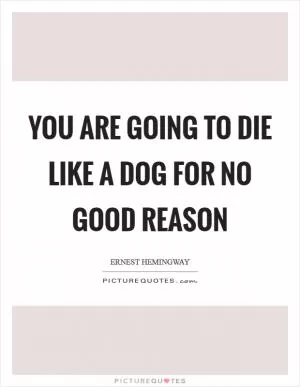 You are going to die like a dog for no good reason Picture Quote #1