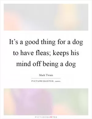 It’s a good thing for a dog to have fleas; keeps his mind off being a dog Picture Quote #1