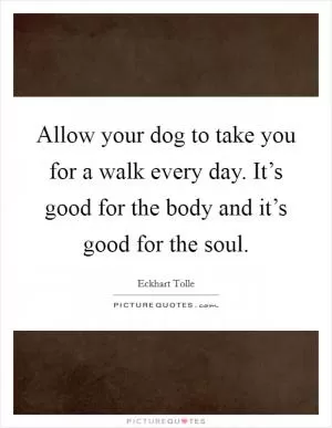 Allow your dog to take you for a walk every day. It’s good for the body and it’s good for the soul Picture Quote #1