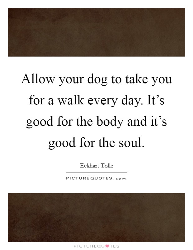 Allow your dog to take you for a walk every day. It's good for the body and it's good for the soul. Picture Quote #1