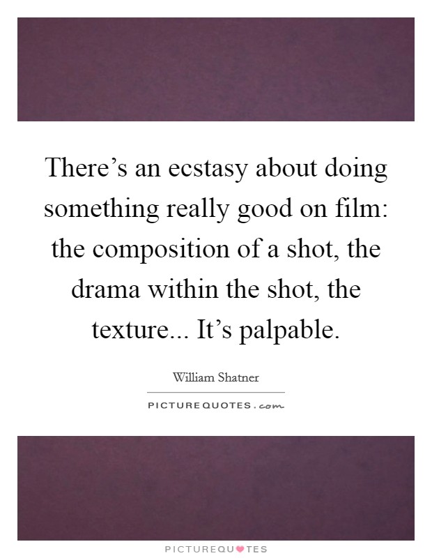 There's an ecstasy about doing something really good on film: the composition of a shot, the drama within the shot, the texture... It's palpable. Picture Quote #1