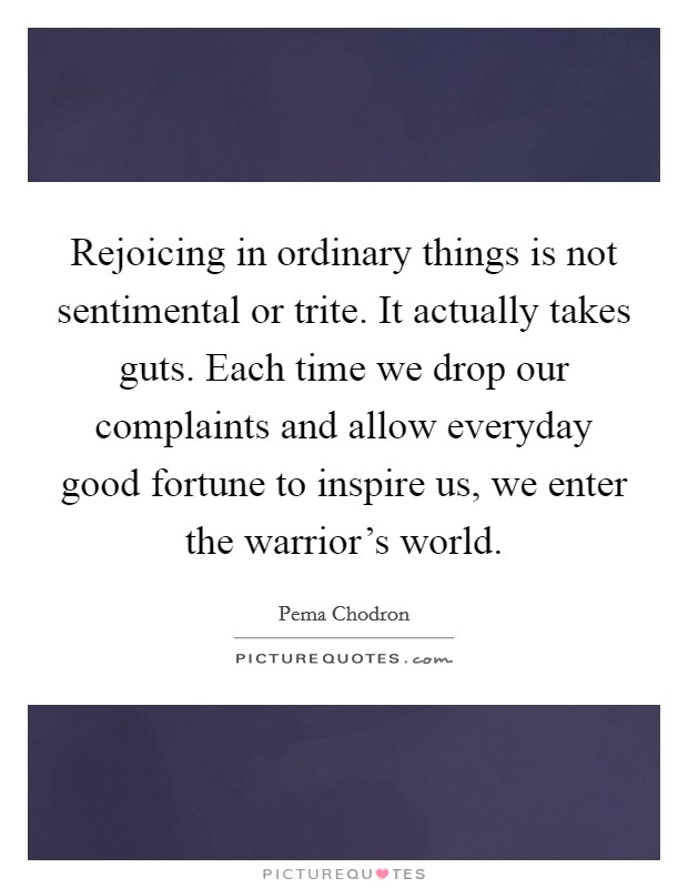 Rejoicing in ordinary things is not sentimental or trite. It actually takes guts. Each time we drop our complaints and allow everyday good fortune to inspire us, we enter the warrior's world. Picture Quote #1