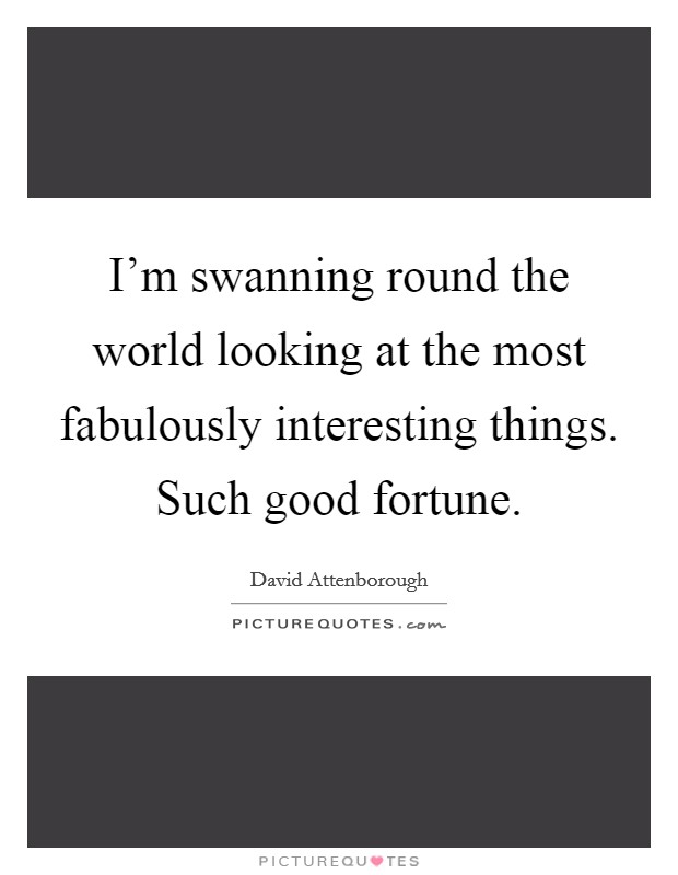 I'm swanning round the world looking at the most fabulously interesting things. Such good fortune. Picture Quote #1