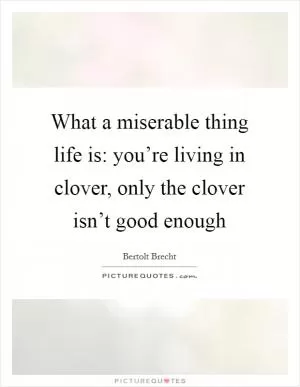 What a miserable thing life is: you’re living in clover, only the clover isn’t good enough Picture Quote #1