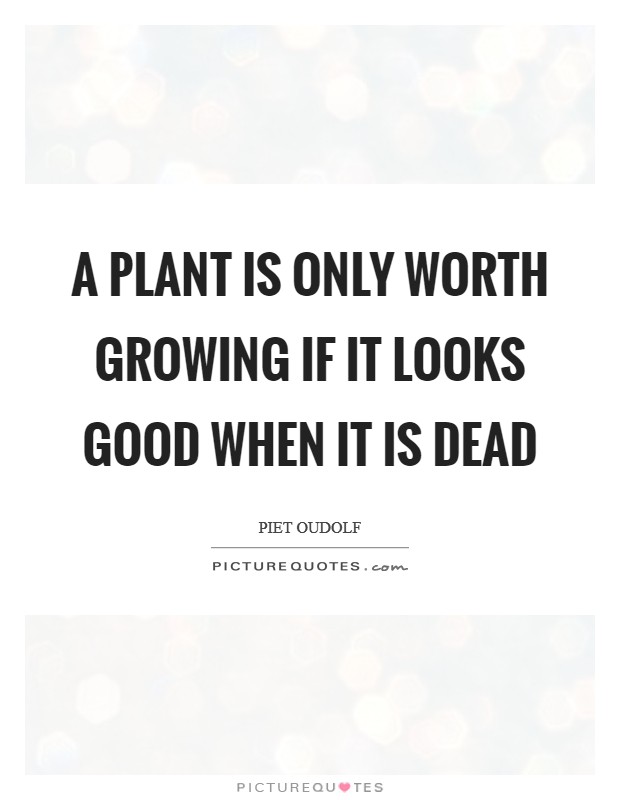 A plant is only worth growing if it looks good when it is dead Picture Quote #1