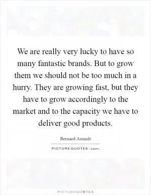 We are really very lucky to have so many fantastic brands. But to grow them we should not be too much in a hurry. They are growing fast, but they have to grow accordingly to the market and to the capacity we have to deliver good products Picture Quote #1
