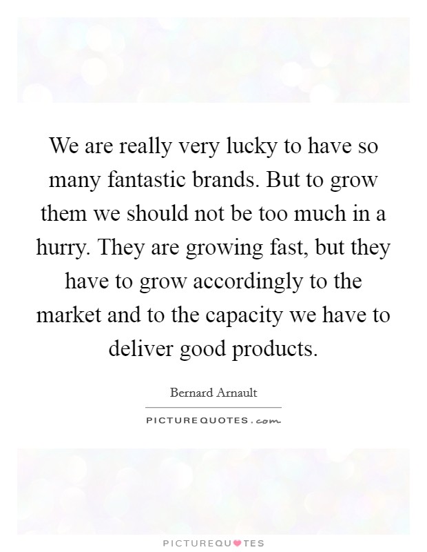 We are really very lucky to have so many fantastic brands. But to grow them we should not be too much in a hurry. They are growing fast, but they have to grow accordingly to the market and to the capacity we have to deliver good products. Picture Quote #1
