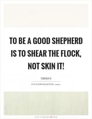 To be a good shepherd is to shear the flock, not skin it! Picture Quote #1