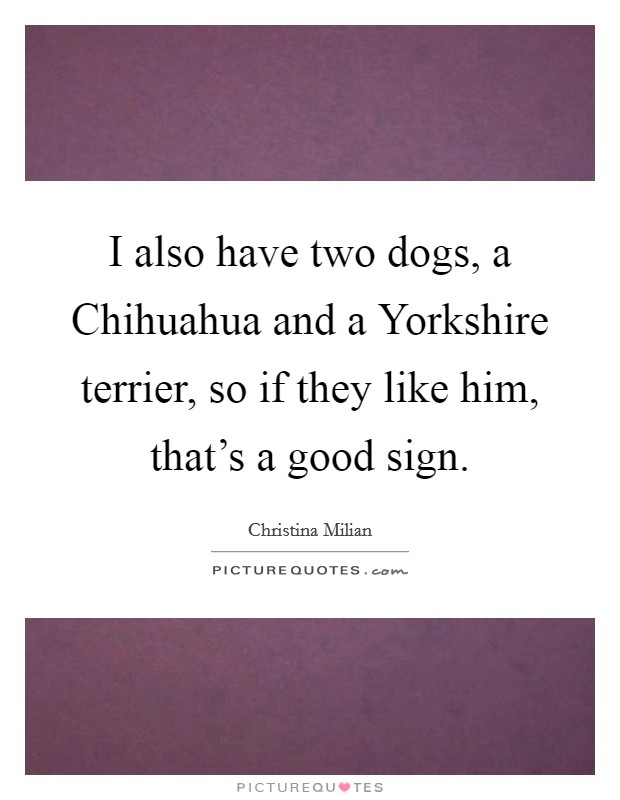 I also have two dogs, a Chihuahua and a Yorkshire terrier, so if they like him, that's a good sign. Picture Quote #1