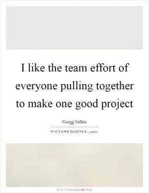 I like the team effort of everyone pulling together to make one good project Picture Quote #1
