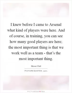 I knew before I came to Arsenal what kind of players were here. And of course, in training, you can see how many good players are here; the most important thing is that we work well as a team - that’s the most important thing Picture Quote #1
