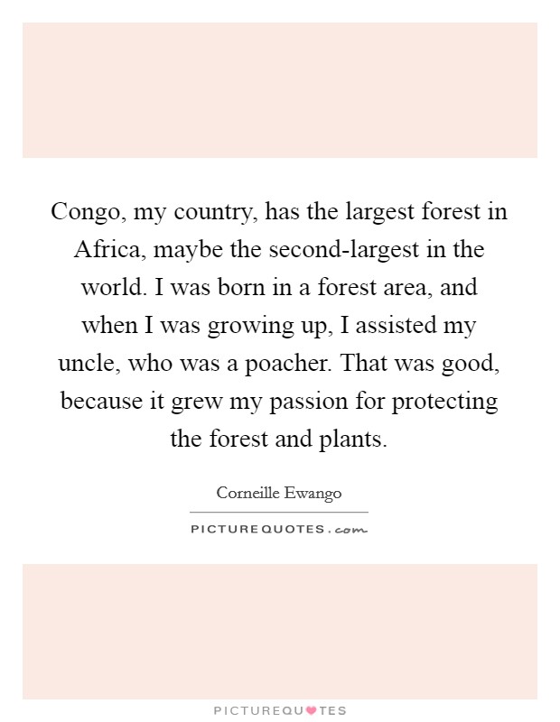 Congo, my country, has the largest forest in Africa, maybe the second-largest in the world. I was born in a forest area, and when I was growing up, I assisted my uncle, who was a poacher. That was good, because it grew my passion for protecting the forest and plants. Picture Quote #1