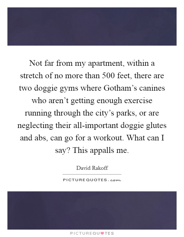 Not far from my apartment, within a stretch of no more than 500 feet, there are two doggie gyms where Gotham's canines who aren't getting enough exercise running through the city's parks, or are neglecting their all-important doggie glutes and abs, can go for a workout. What can I say? This appalls me. Picture Quote #1