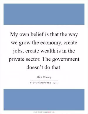My own belief is that the way we grow the economy, create jobs, create wealth is in the private sector. The government doesn’t do that Picture Quote #1