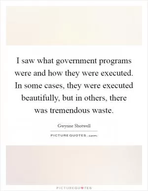 I saw what government programs were and how they were executed. In some cases, they were executed beautifully, but in others, there was tremendous waste Picture Quote #1