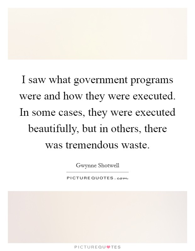 I saw what government programs were and how they were executed. In some cases, they were executed beautifully, but in others, there was tremendous waste. Picture Quote #1