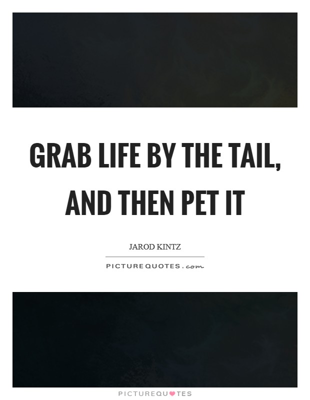 Grab life by the tail, and then pet it Picture Quote #1